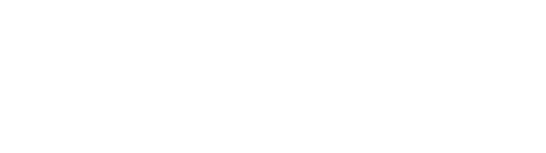 Data Omnis